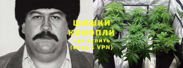 первитин Кукмор