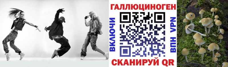 Галлюциногенные грибы GOLDEN TEACHER Купить где Апшеронск